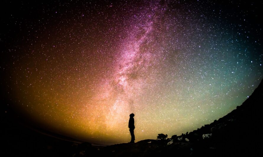 Top 7 Law Of Attraction Tips To Manifest More Of What You Want!